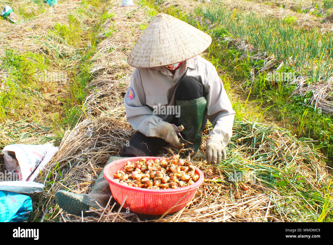 Farmer cutting grass hires stock photography and images Alamy