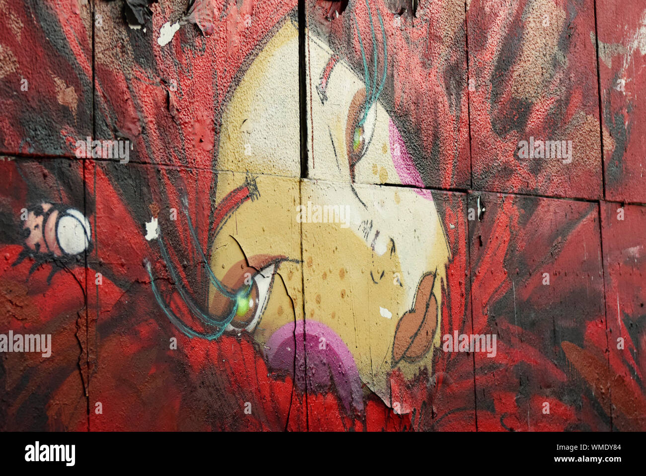 A photograph of a portion of Lisbon street art graffiti depicting a beautiful woman’s face as the centre of a stunning red flower Stock Photo