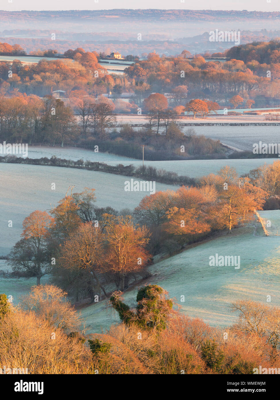Frost mist misty hi-res stock photography and images - Alamy
