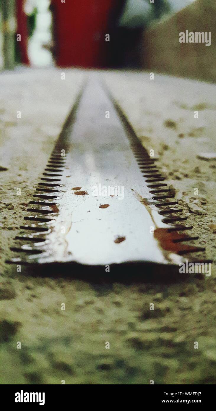Long narrow blade hi-res stock photography and images - Alamy