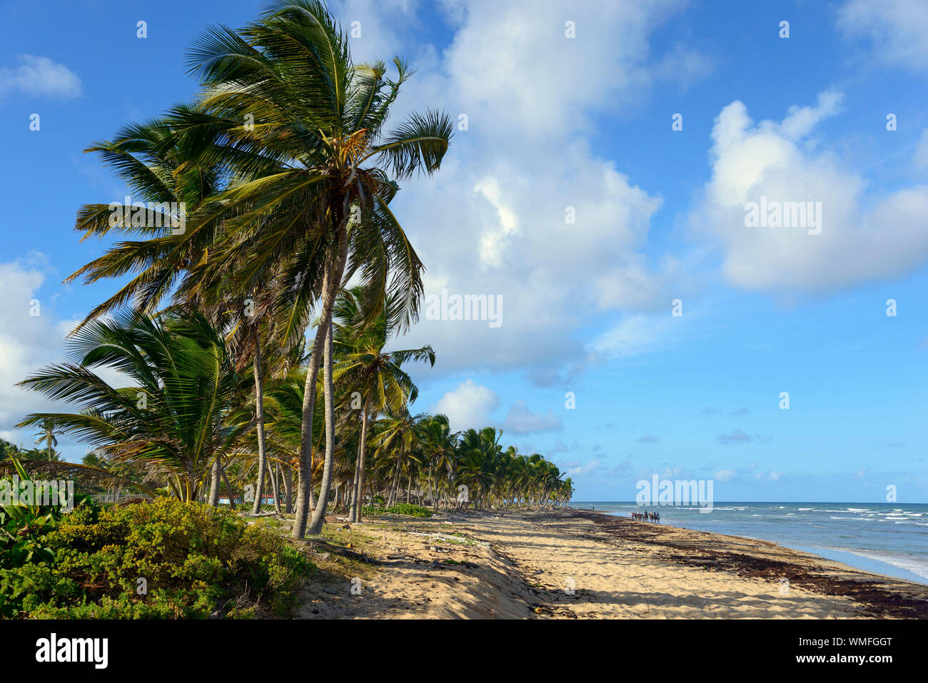 Beach near Uvero Alto, Punta Cana, Dominican Republic, Carribean, America Stock Photo