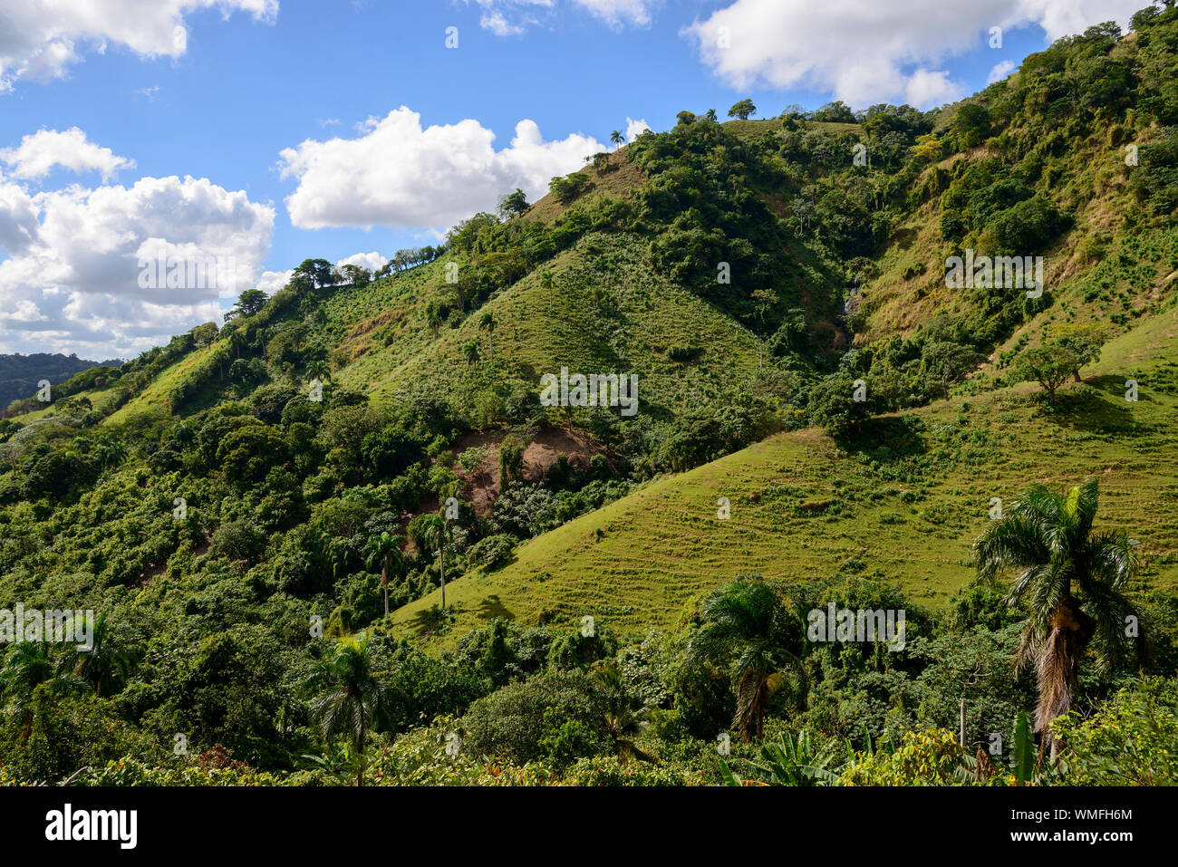 Landscape near Pedro Sanchez, Cordillera Oriental, Dominican Republic, Carribean, America Stock Photo