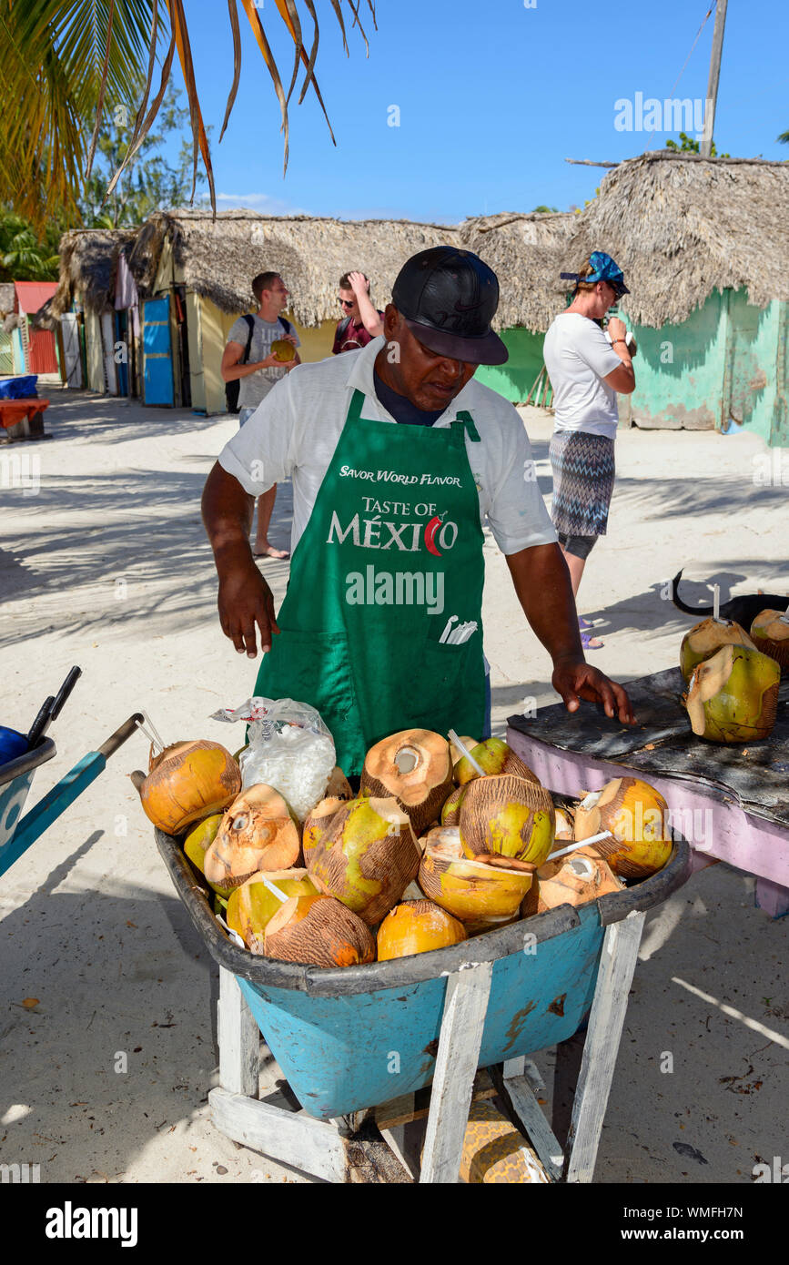 Sale of coconut, Fishing village Mano Juan, Island Isla Saona ,Parque Nacional del Este, Dominican Republic, Carribean, America Stock Photo