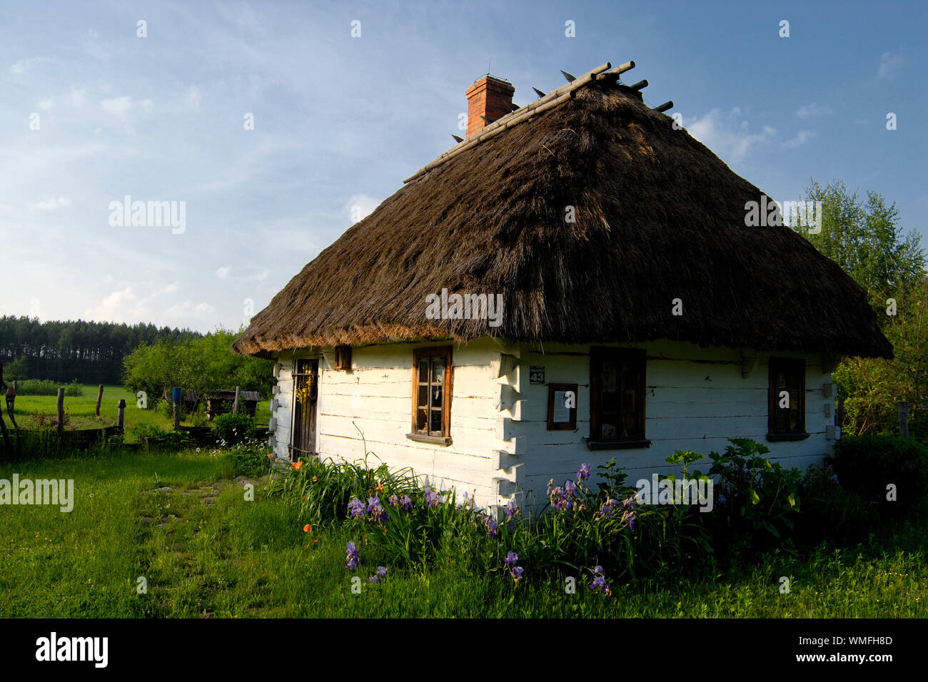 Thatched woodhouse, Janow Podlaski, Podlachien, Poland, Europe Stock Photo