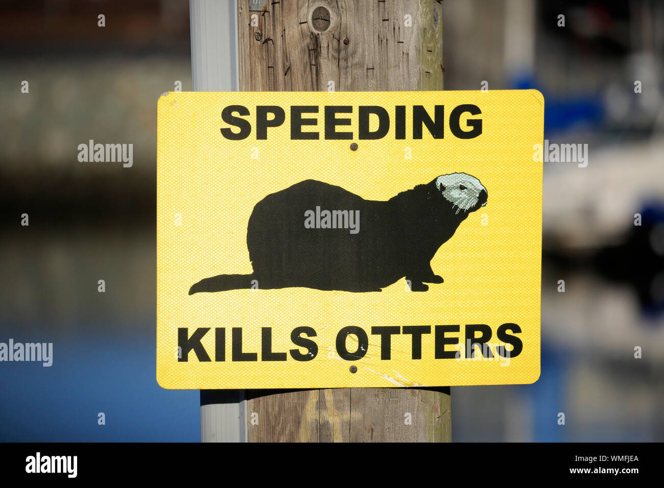 Traffic sign, Sea Otter, protect Sea Otters from traffic and speed, Elkhorn Slough, Monterey, California, North America, USA Stock Photo