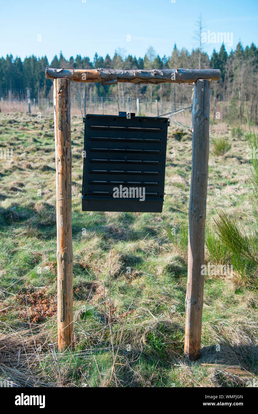 bark beetle trap, Eifel National Park, North Rhine-Westphalia, Germany, Europe Stock Photo