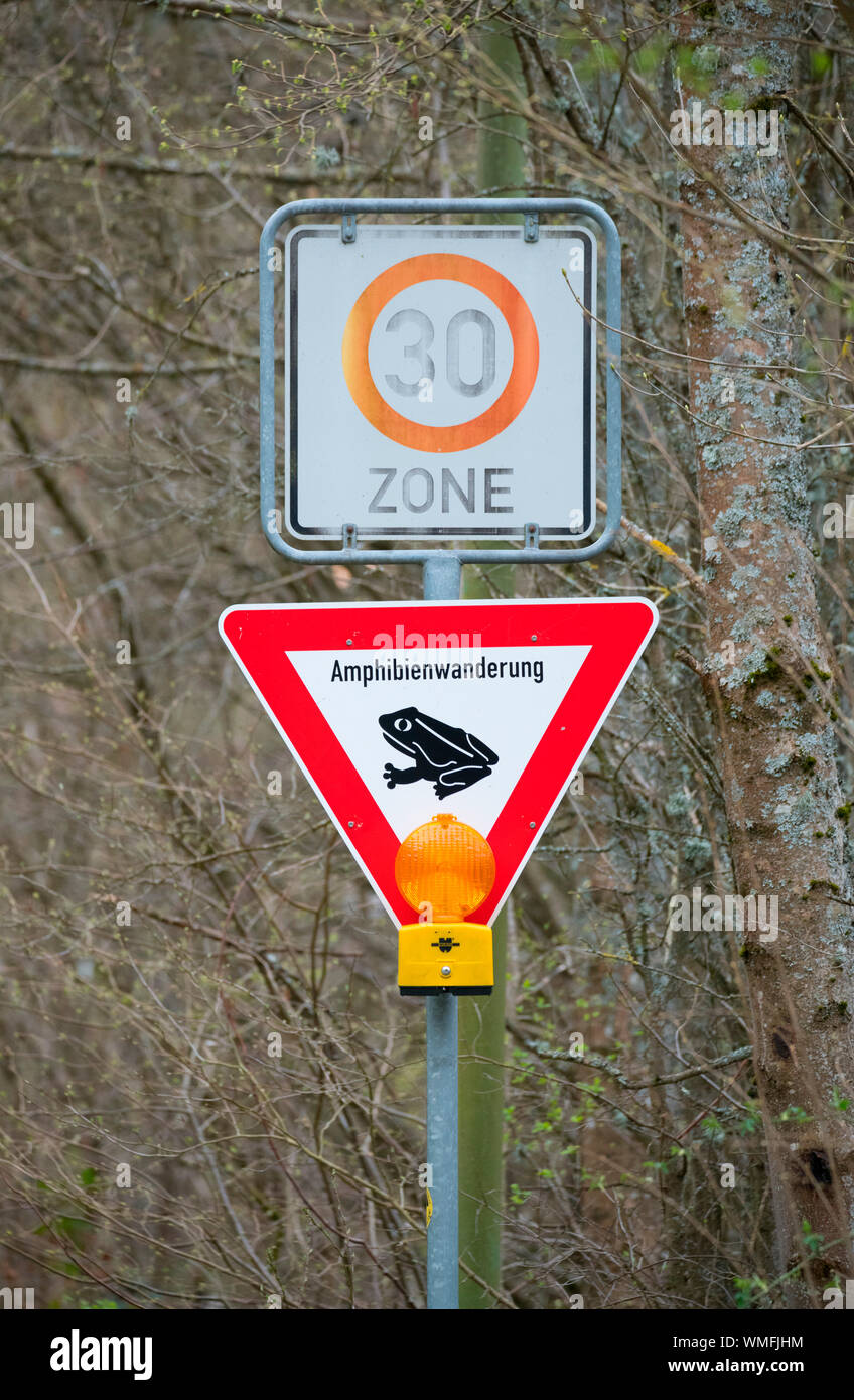 sign amphibious migration, Erkensruhr, North Rhine-Westphalia, Germany, Europe Stock Photo