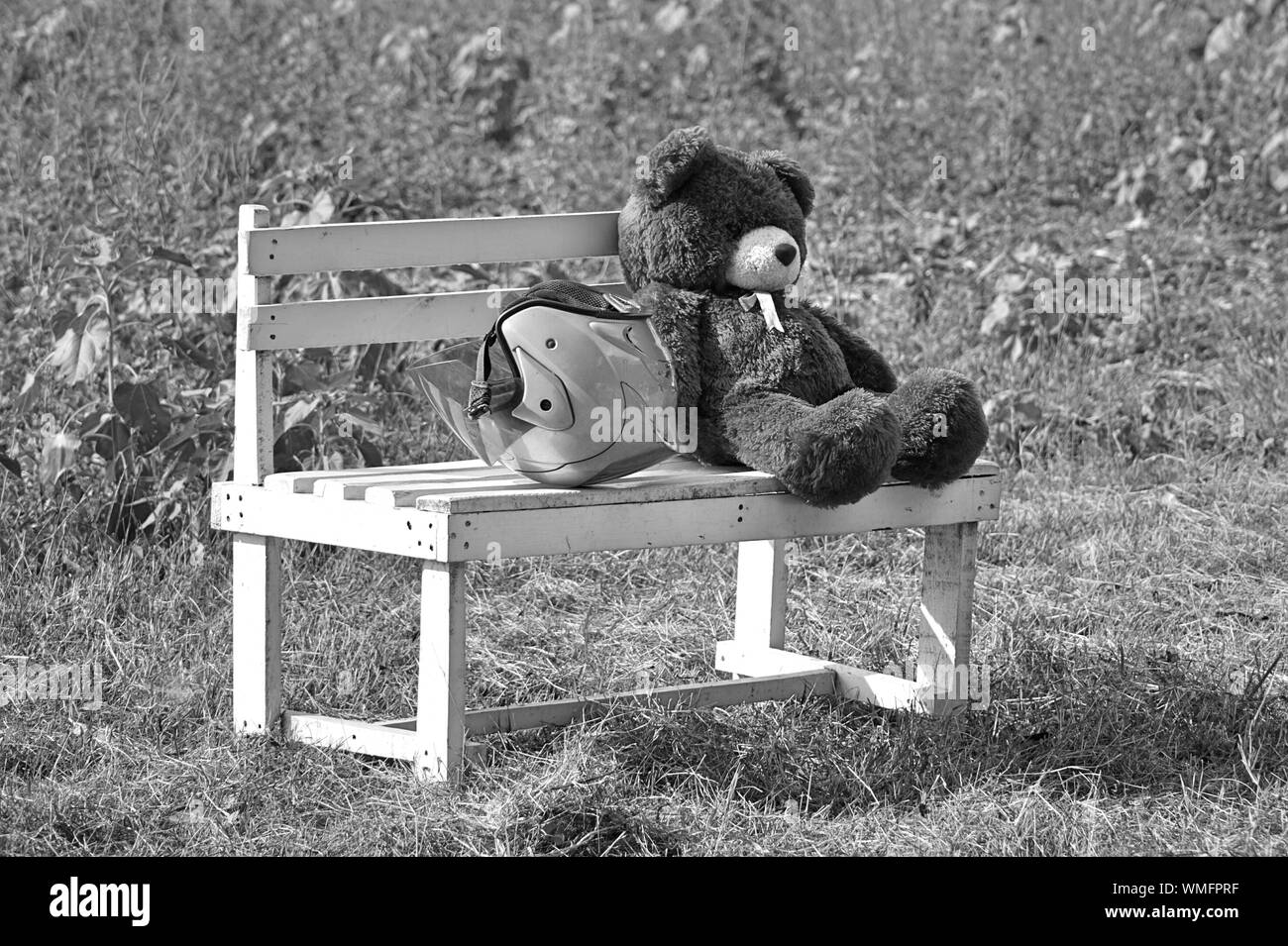 Teddy Bear On Bench High Resolution Stock Photography and Images - Alamy