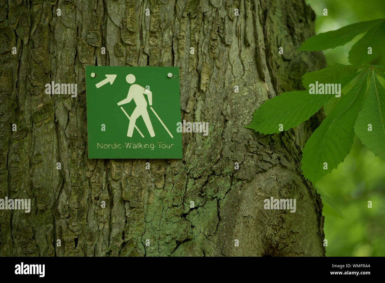 Sign, nordic walking tour, bad mergentheim, tauber valley, tauber-franconia, baden-wuerttemberg, heilbronn-franconia, germany Stock Photo