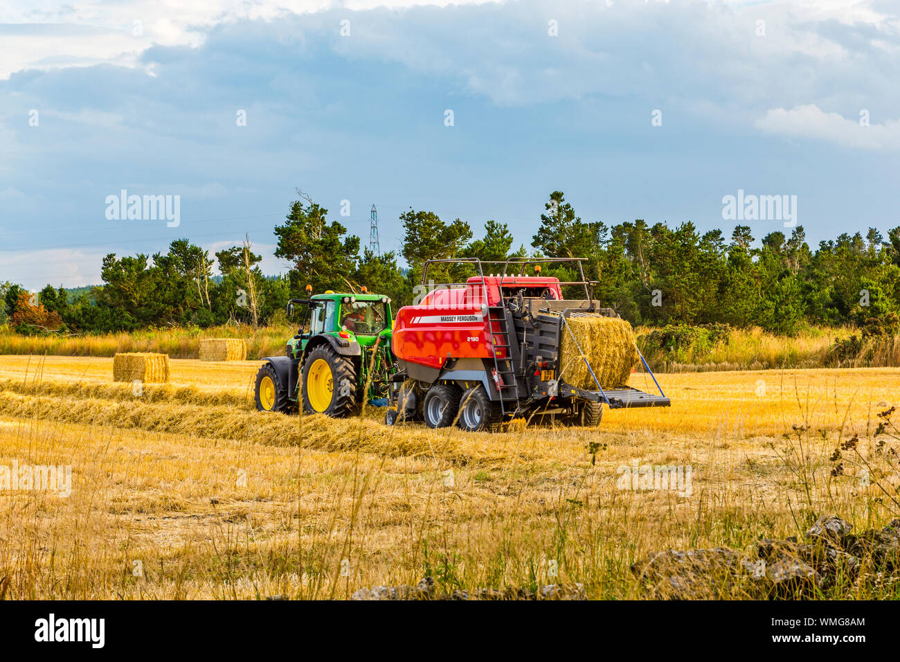 Harvesting Barley near Portsoy in Aberdeenshire Scotland Stock Photo