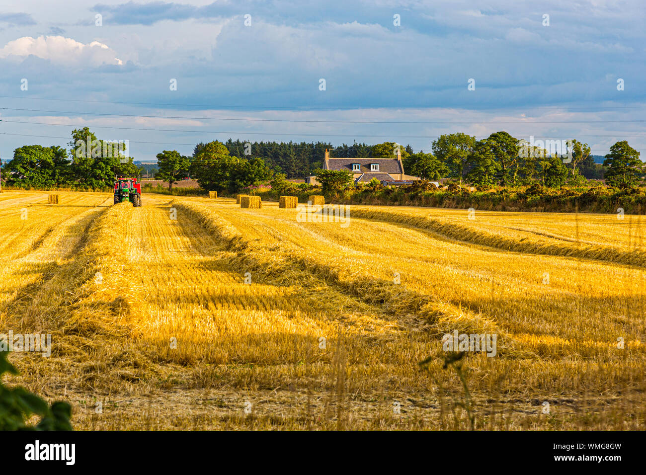 Harvesting Barley near Portsoy in Aberdeenshire Scotland Stock Photo