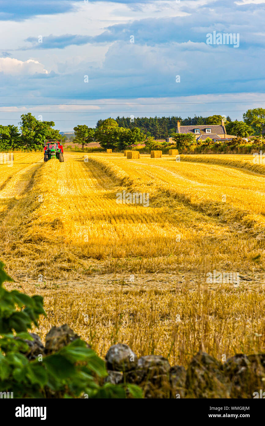 Harvesting Barley near  Portsoy in Aberdeenshire Scotland Stock Photo
