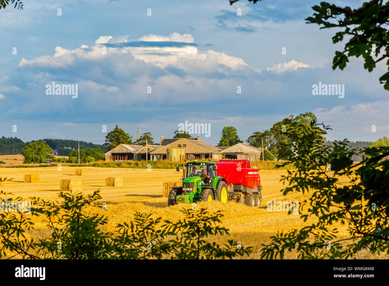 Harvesting Barley near Portsoy in Aberdeenshire Scotland Stock Photo