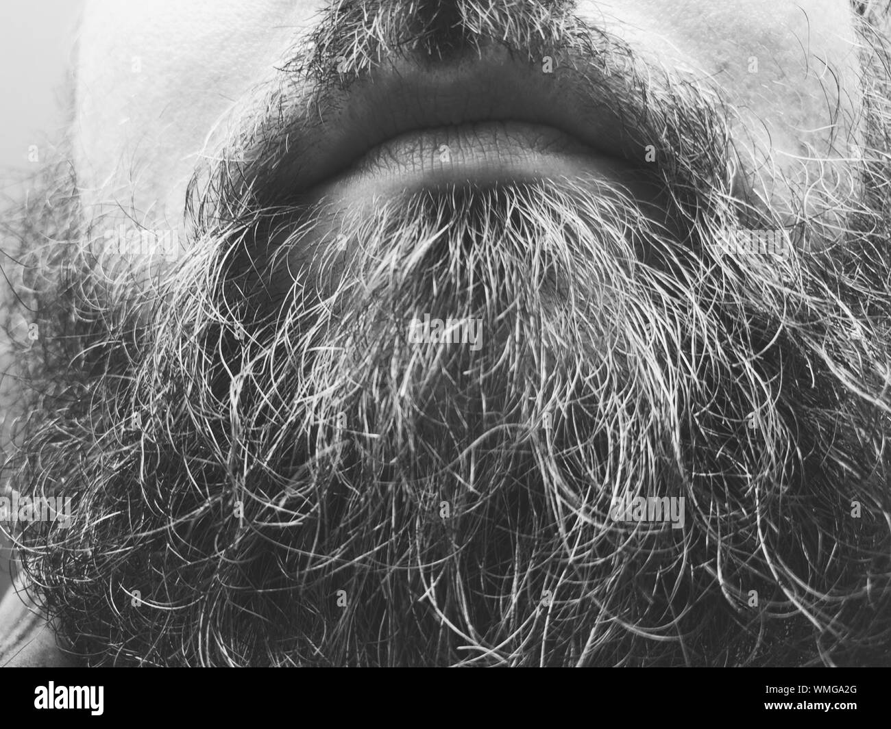 Mustache and beard hires stock photography and images Alamy