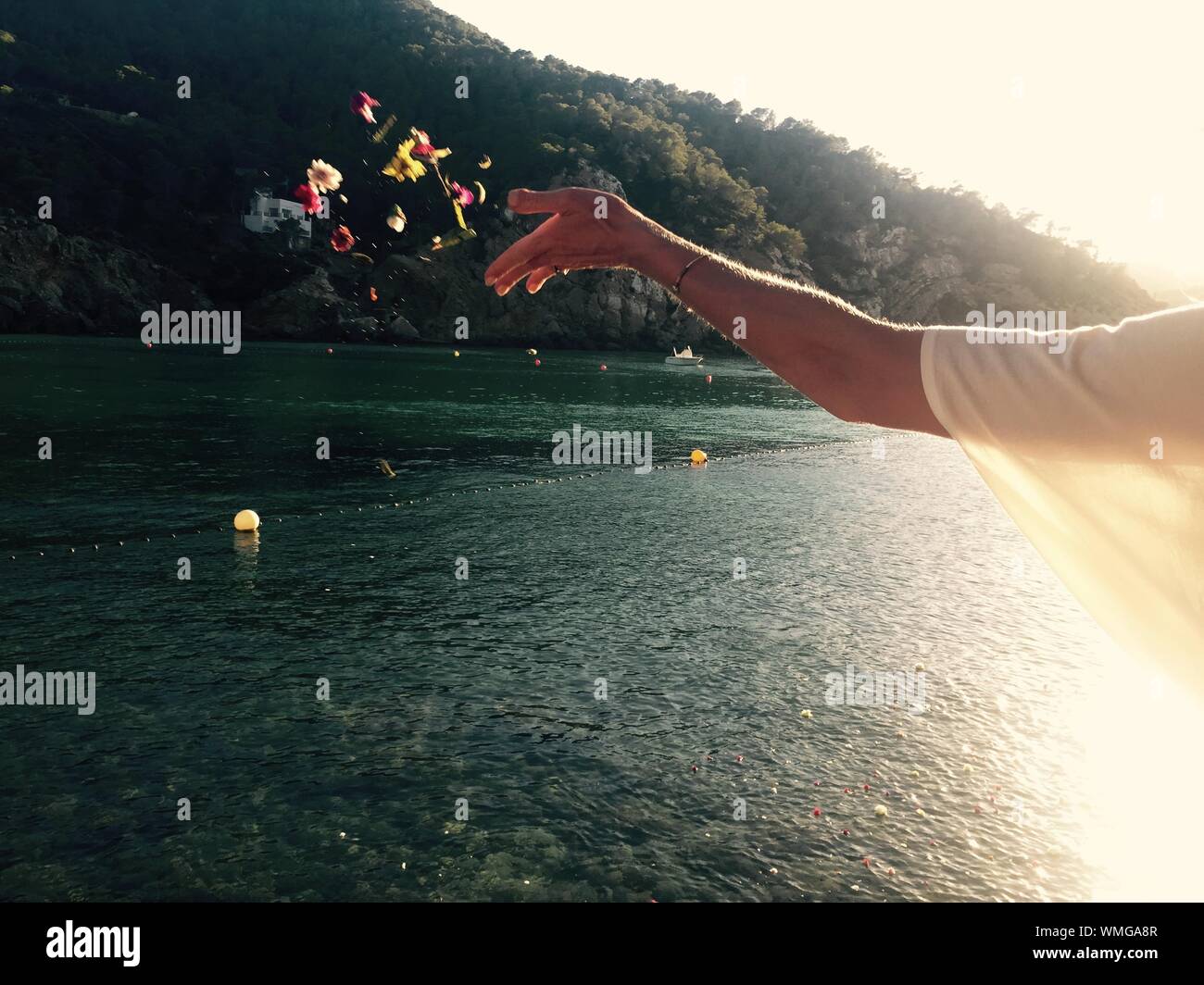 Flowers in mid air hires stock photography and images Alamy