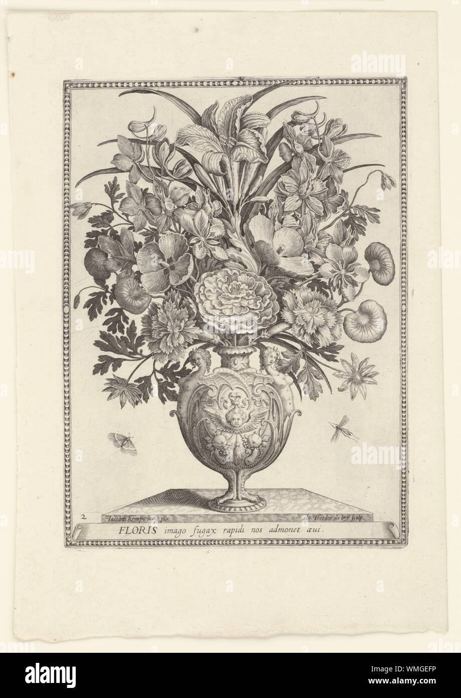 Polyptoton de flore hi-res stock photography and images - Alamy