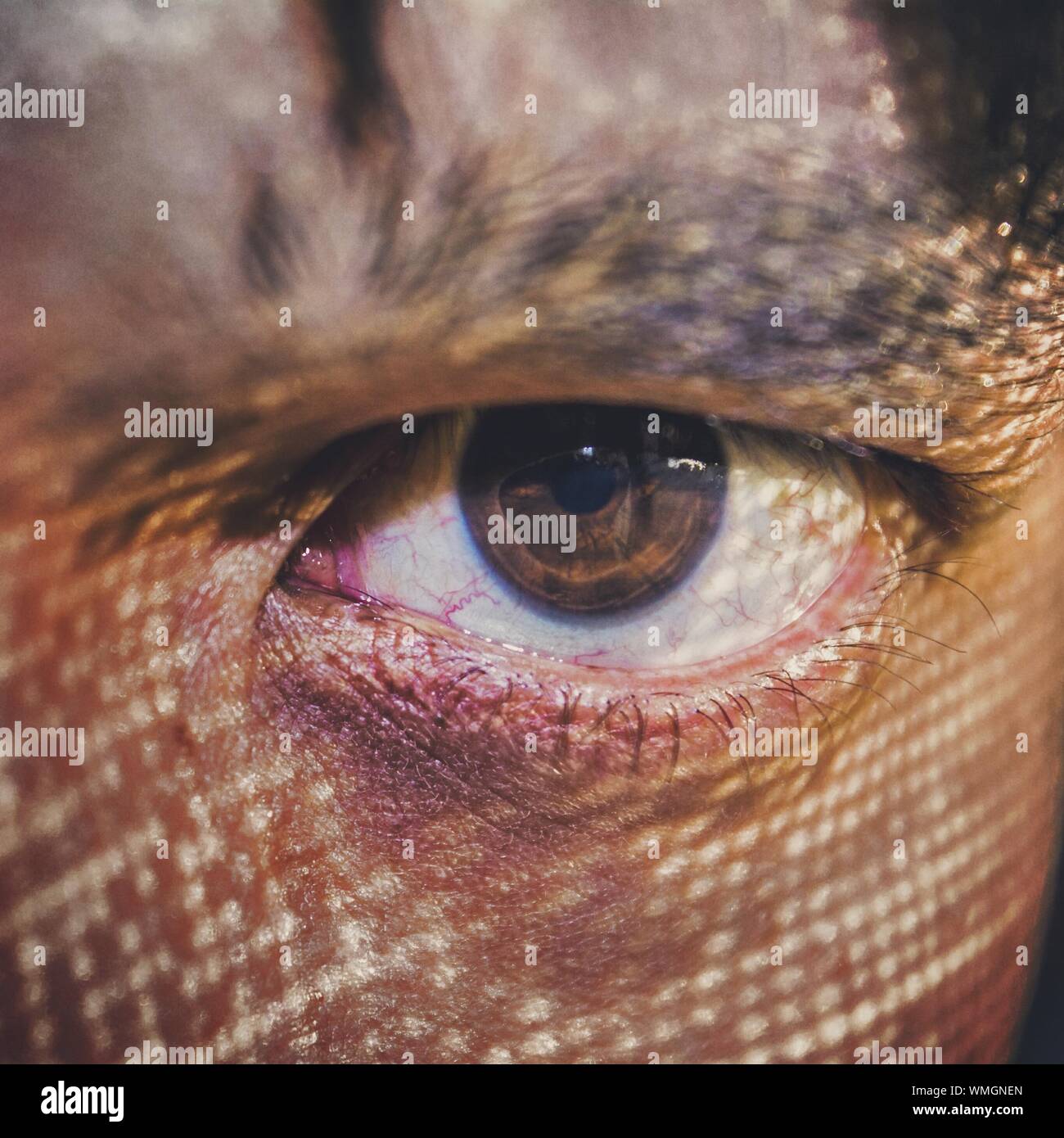 Abstract close up of human eye hi-res stock photography and images - Alamy