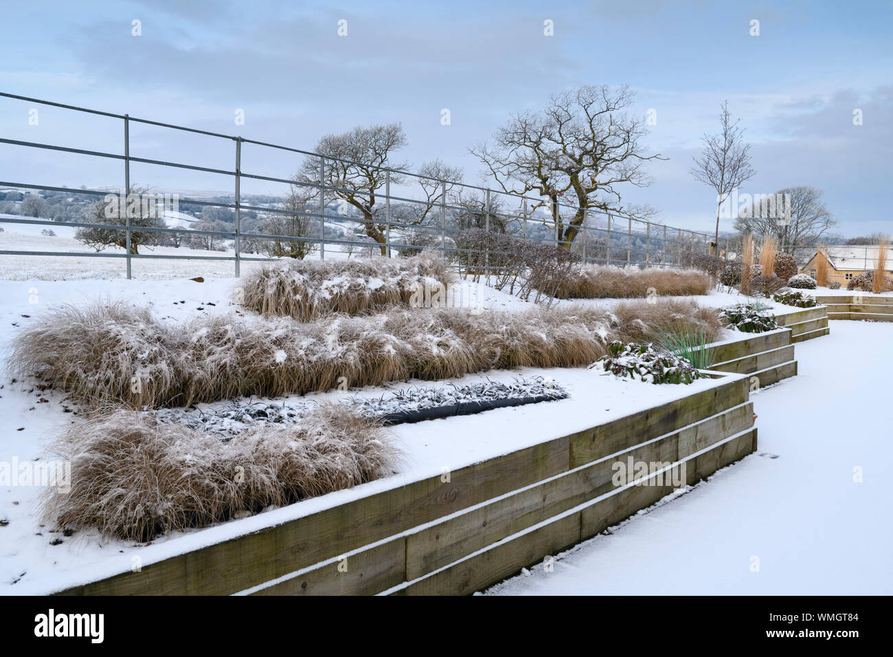 Stylish, contemporary design, landscaping & planting on wooden raised beds (grasses in lines