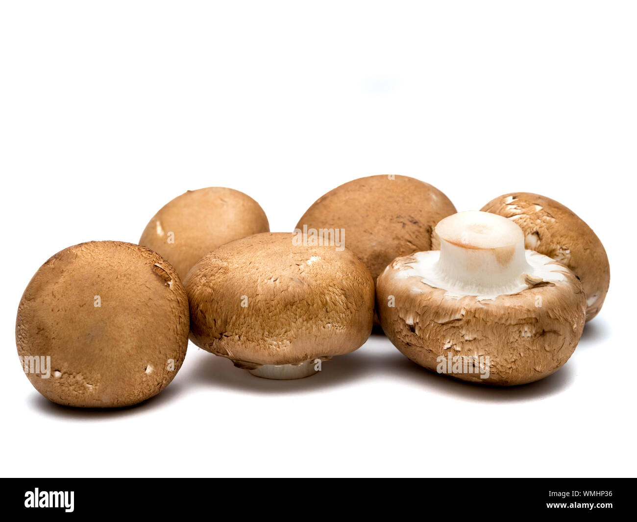 Crimini mushrooms hires stock photography and images Alamy
