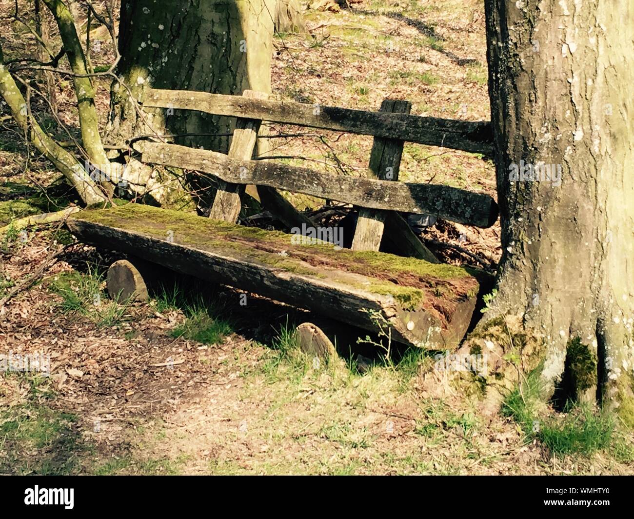 Wood Log Bench Stock Photos Wood Log Bench Stock Images Page 2