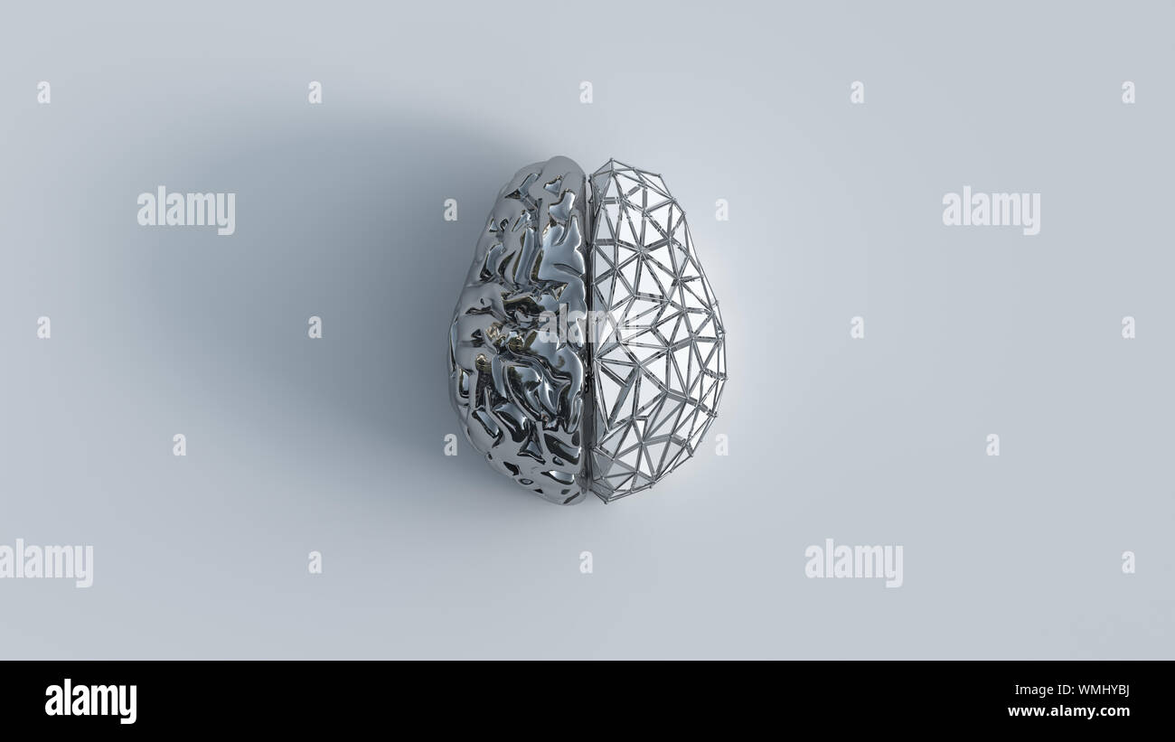 3d render of human brain with reflective metal left side and white poligon grid right side, top view on white background. Stock Photo