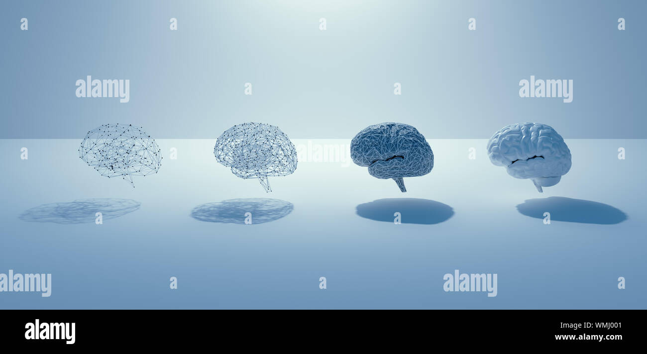 3d render of AI build step to human Brain , 4 brains, grid brain to real brain, white minimal design concept. Stock Photo