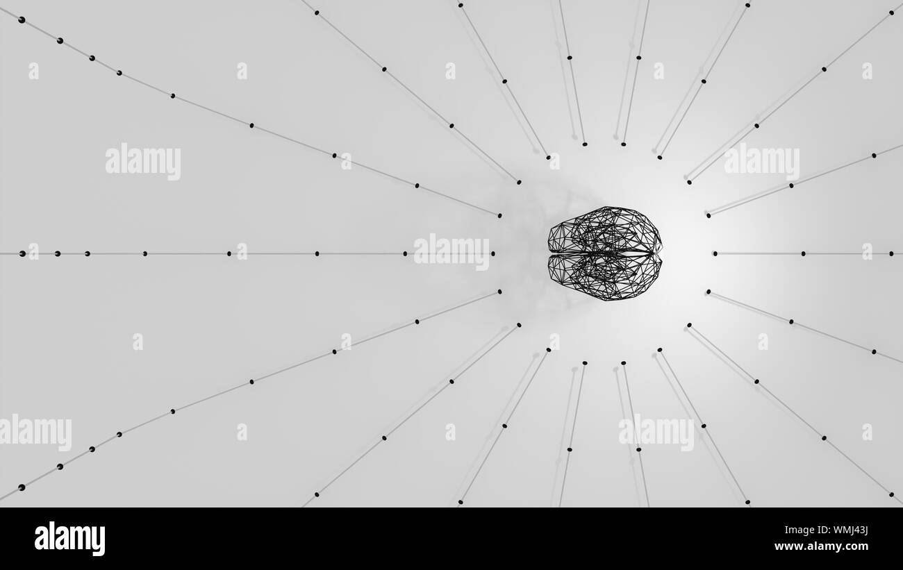 3d render of minimalist grid black brain with radial lines and dots web network on white background top view. Stock Photo
