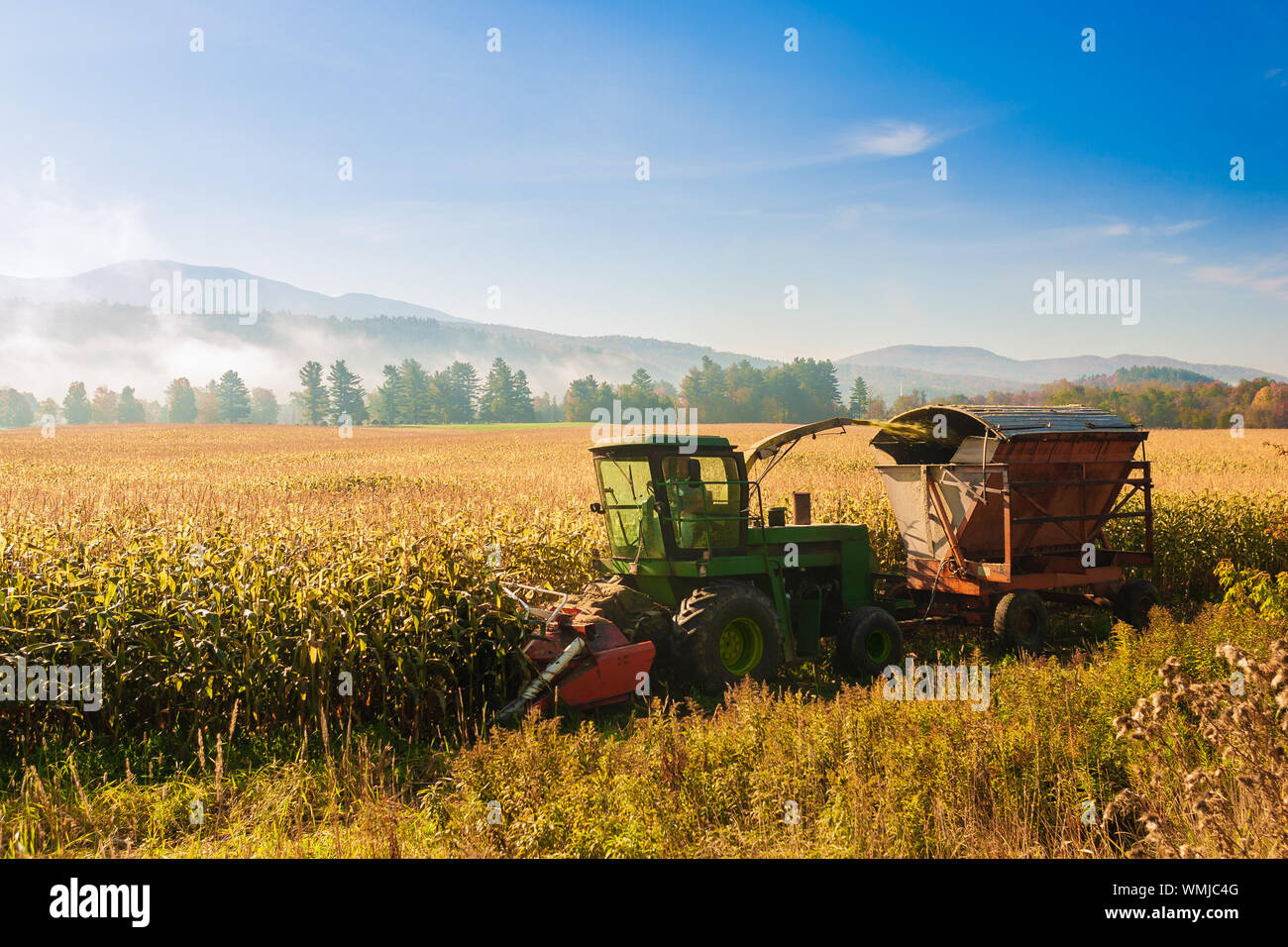 Mulching machine hires stock photography and images Alamy