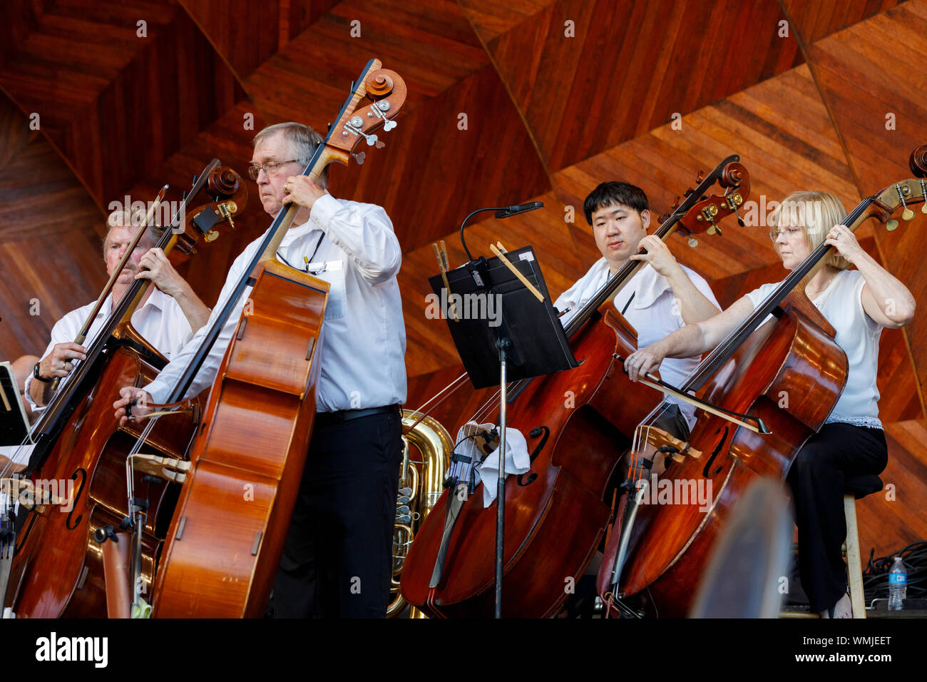 Double Bass section of the Boston Landmarks Orchestra performing at the Hatch Shell, Boston Massachusetts USA Stock Photo