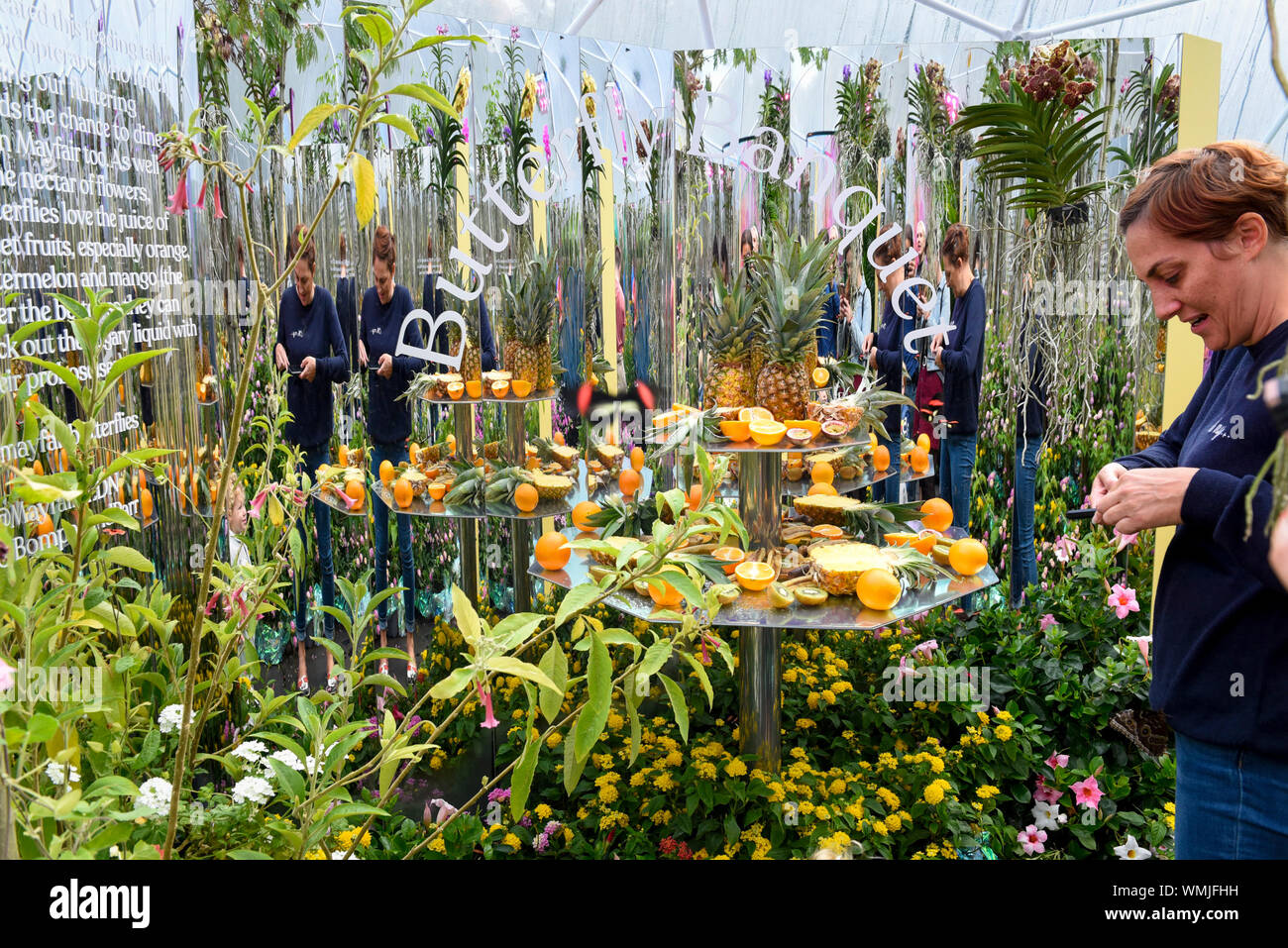 London, UK.  5 September 2019. A feeding area on the opening day of a 'Butterfly Biosphere' in Grosvenor Square, Mayfair.  Setup by Bompas and Parr in association with King's College London and Butterfly Conservation, the aim is to make visitors more aware of the importance of pollinators and the ecosytem that the capital's 50 species of butterfly need to thrive.  The biosphere is open 5 to 15 September.  Credit: Stephen Chung / Alamy Live News Stock Photo