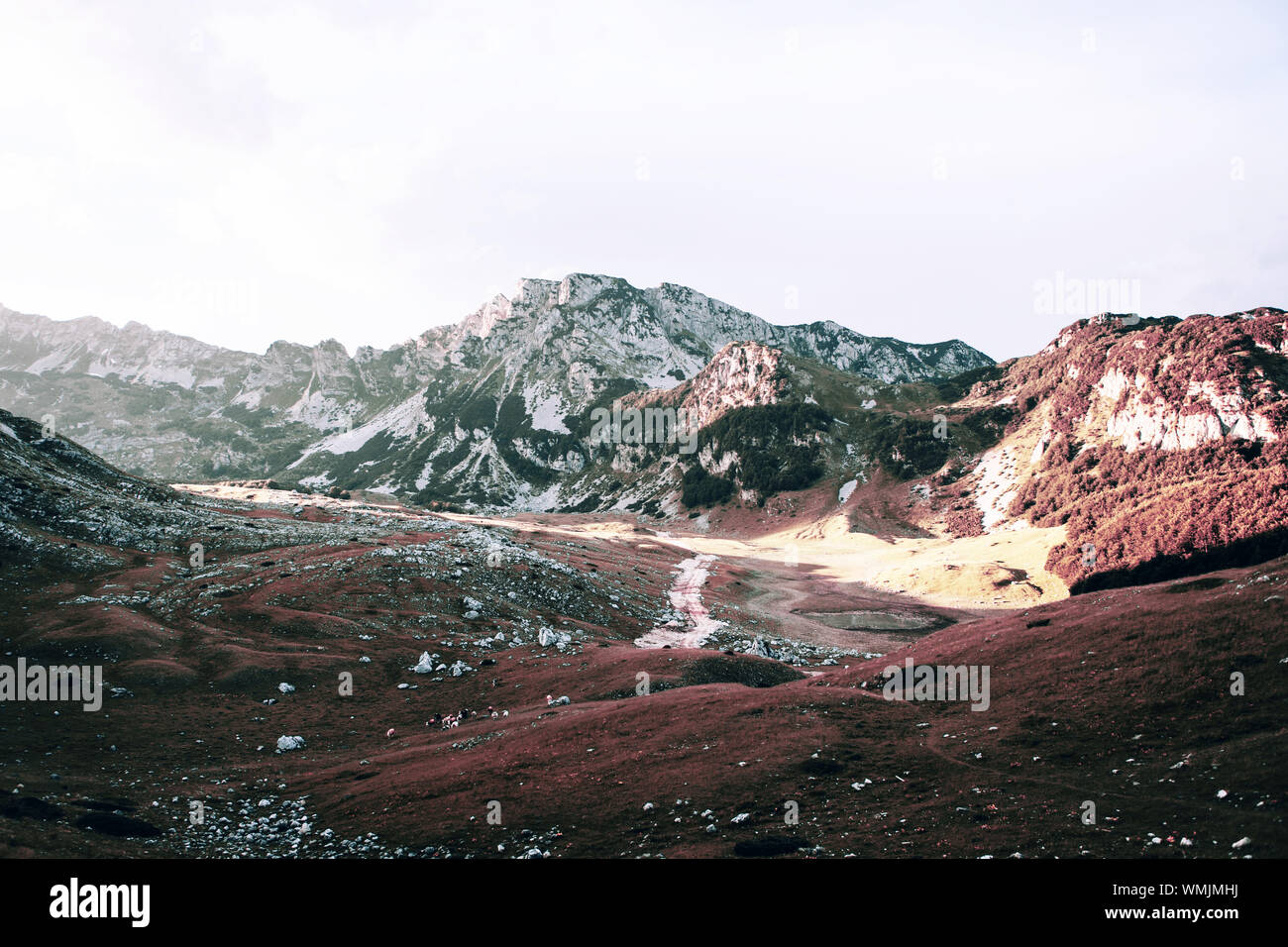 Amazingly beautiful hi-res stock photography and images - Alamy