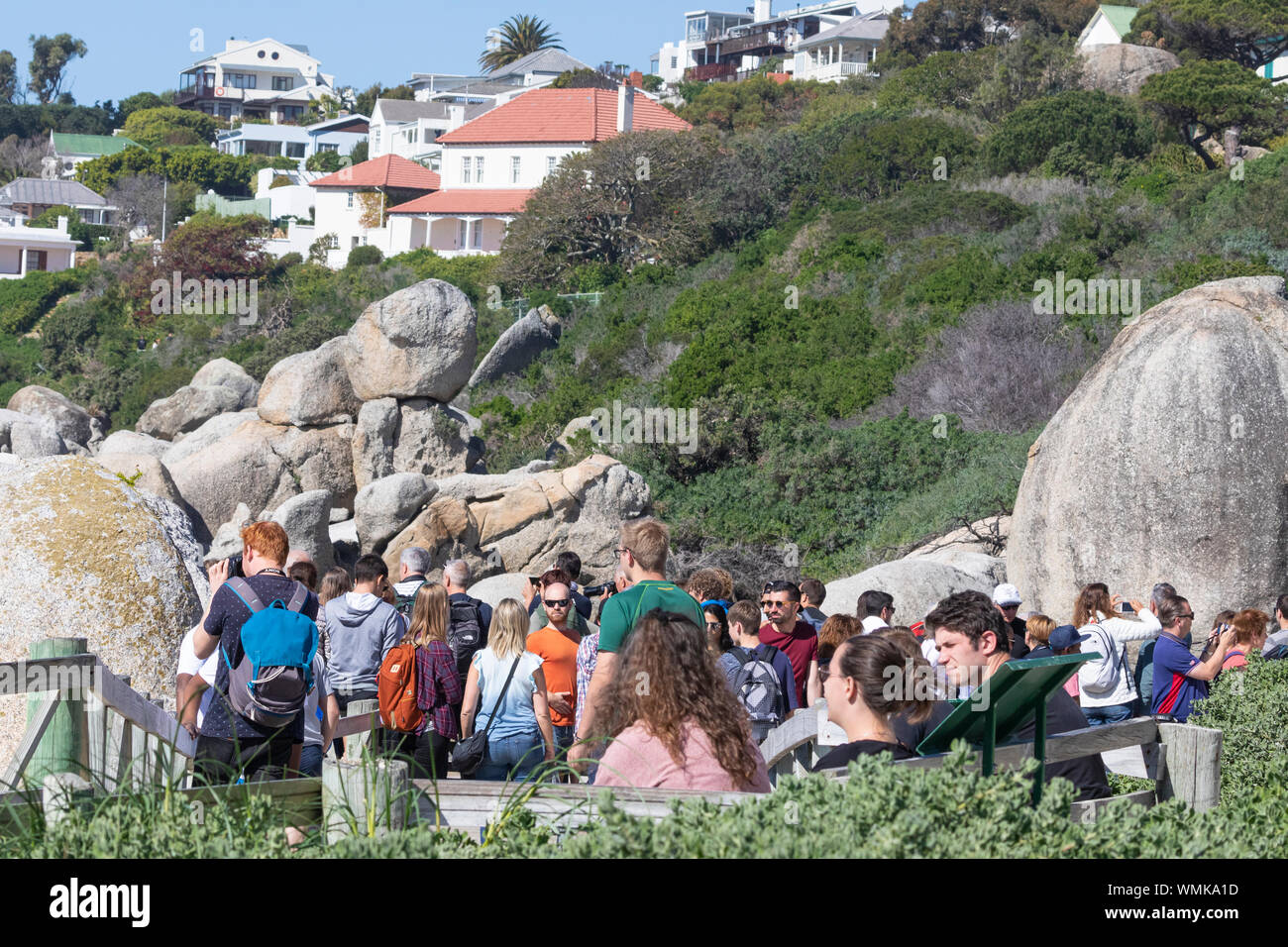 Crowd of tourists  on the boardwalk viewpoint at Boulders Beach viewing the African Penguin breeding colony, Simonstown, Cape Town, South Africa Stock Photo