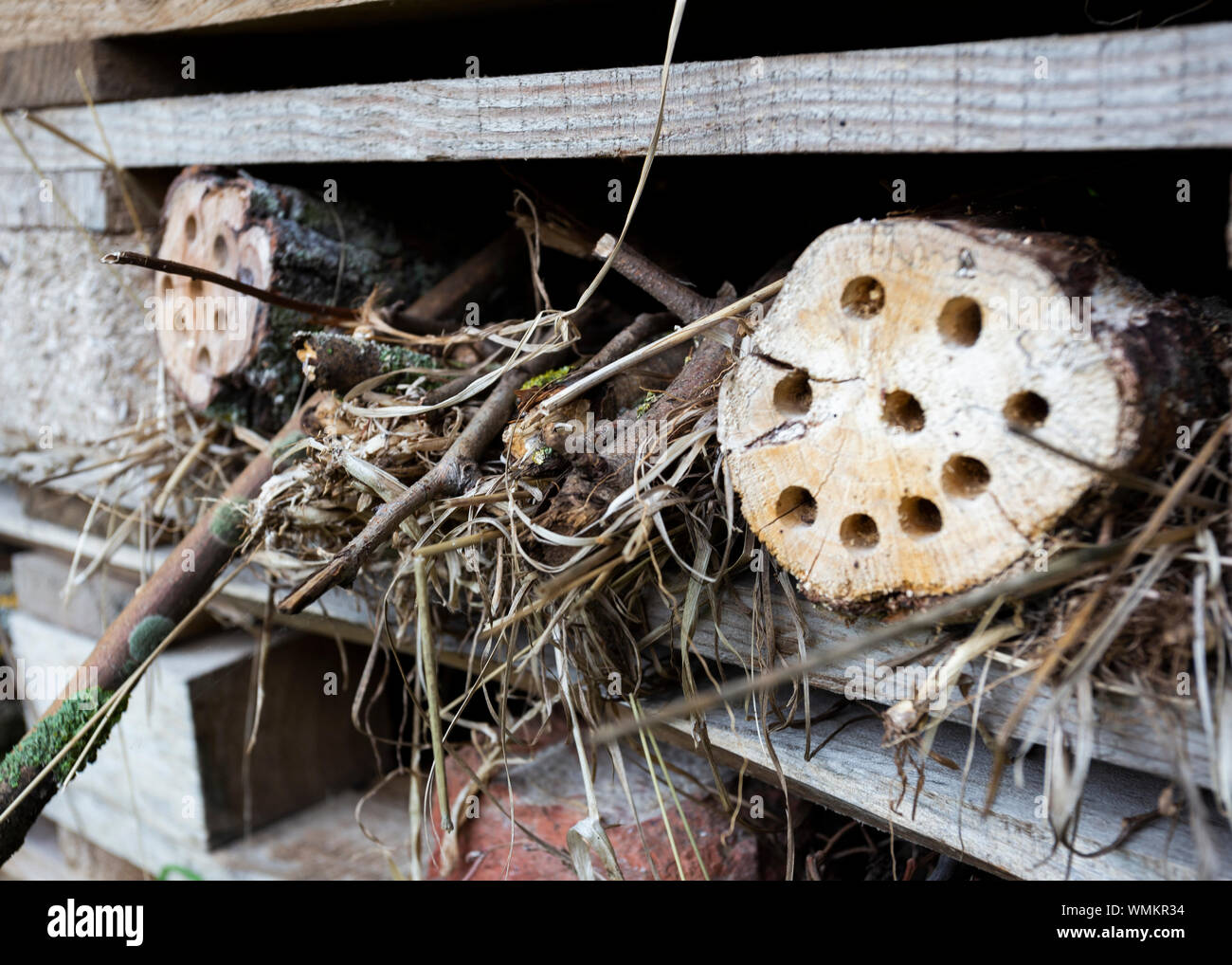 Bug hotel made from wood and found objects UK Stock Photo
