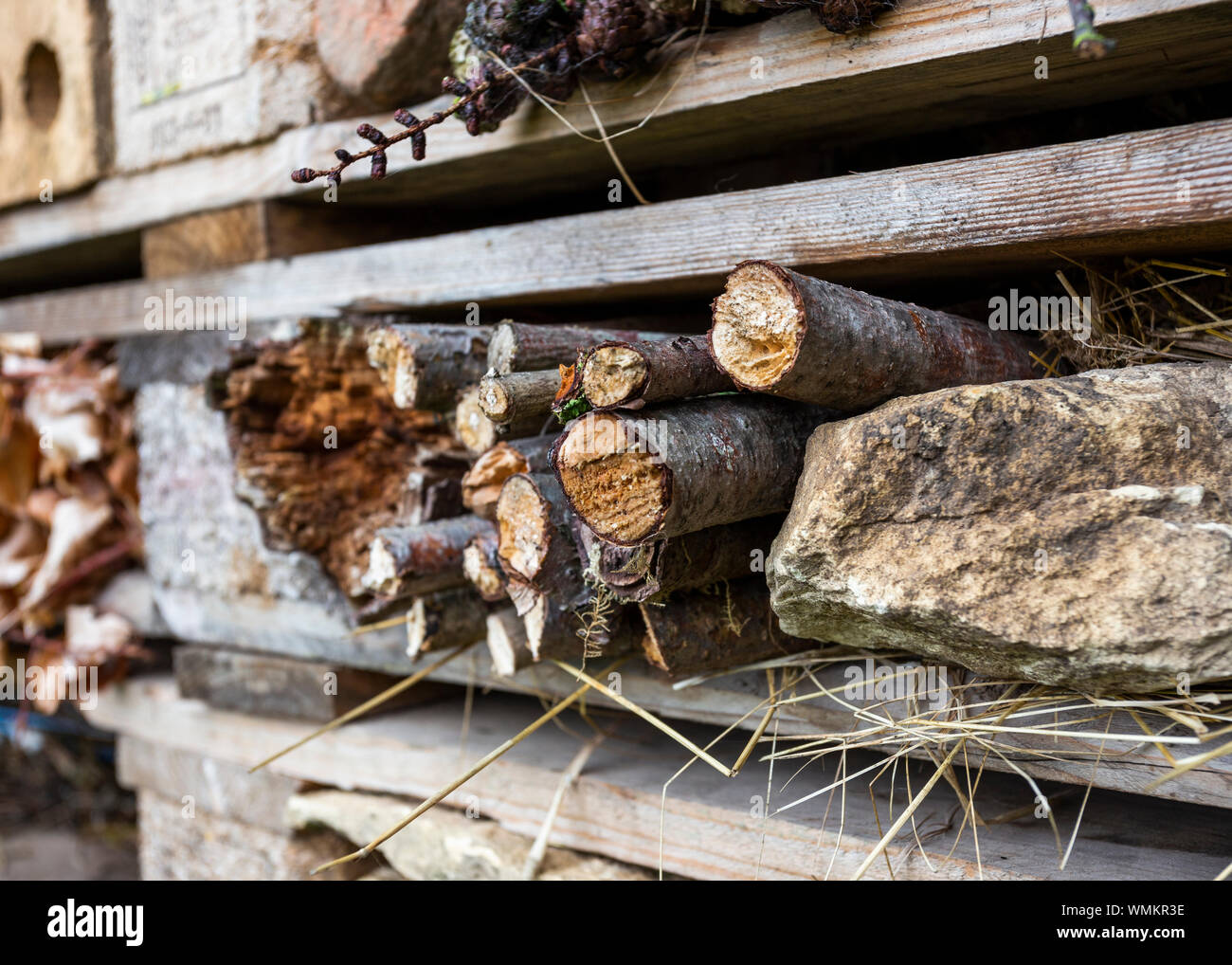 Bug hotel made from wood and found objects UK Stock Photo