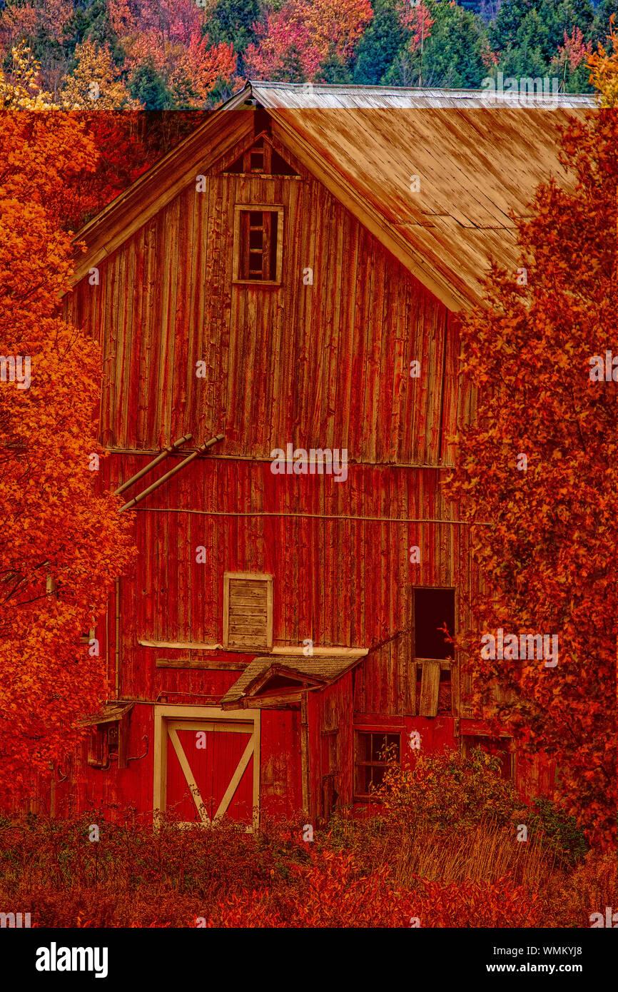 Country barn during fall foliage, Stowe, Vermont, USA Stock Photo Alamy