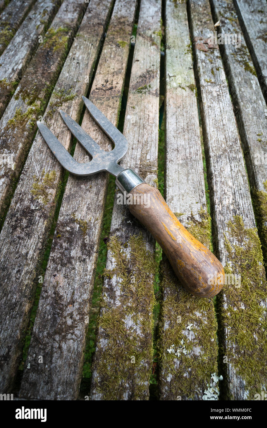 Garden hand fork diagonal Stock Photo Alamy