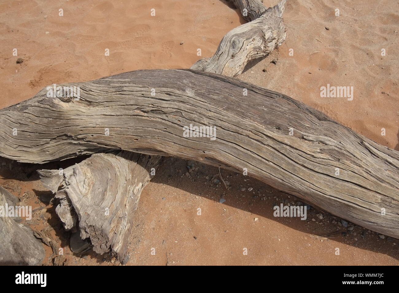 Deadvlei figures hi-res stock photography and images - Alamy