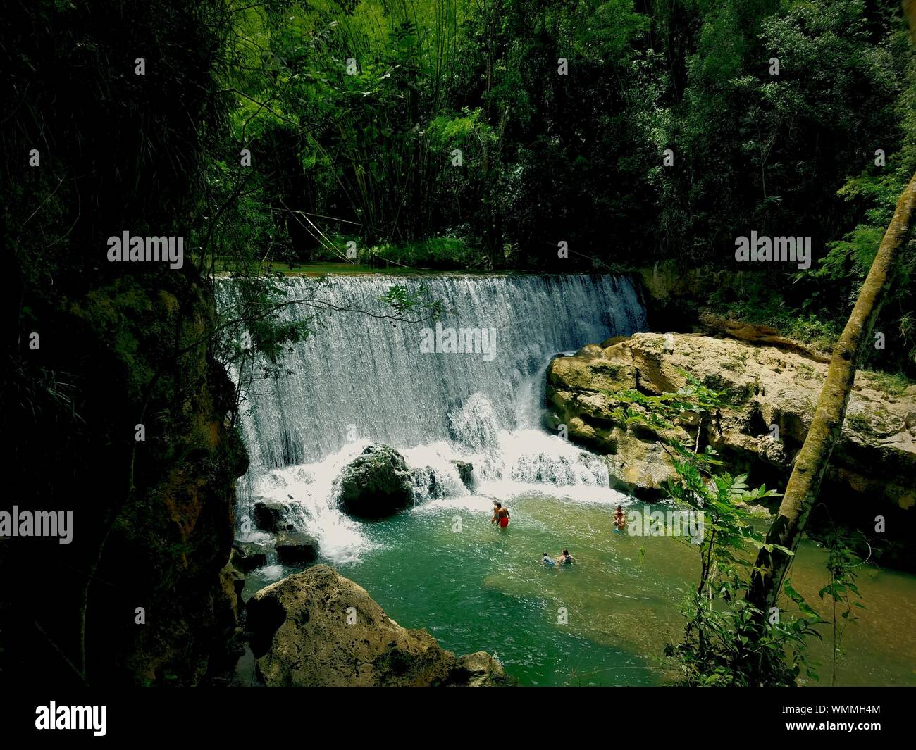 Rio la planta hi-res stock photography and images - Alamy