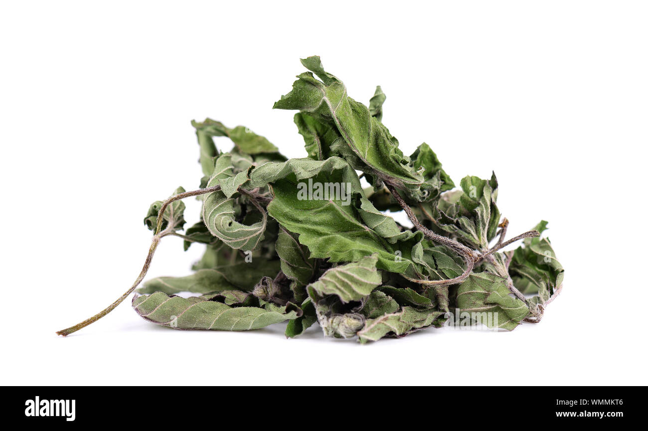 Dried mint leaves, isolated on white background. Dried peppermint pile