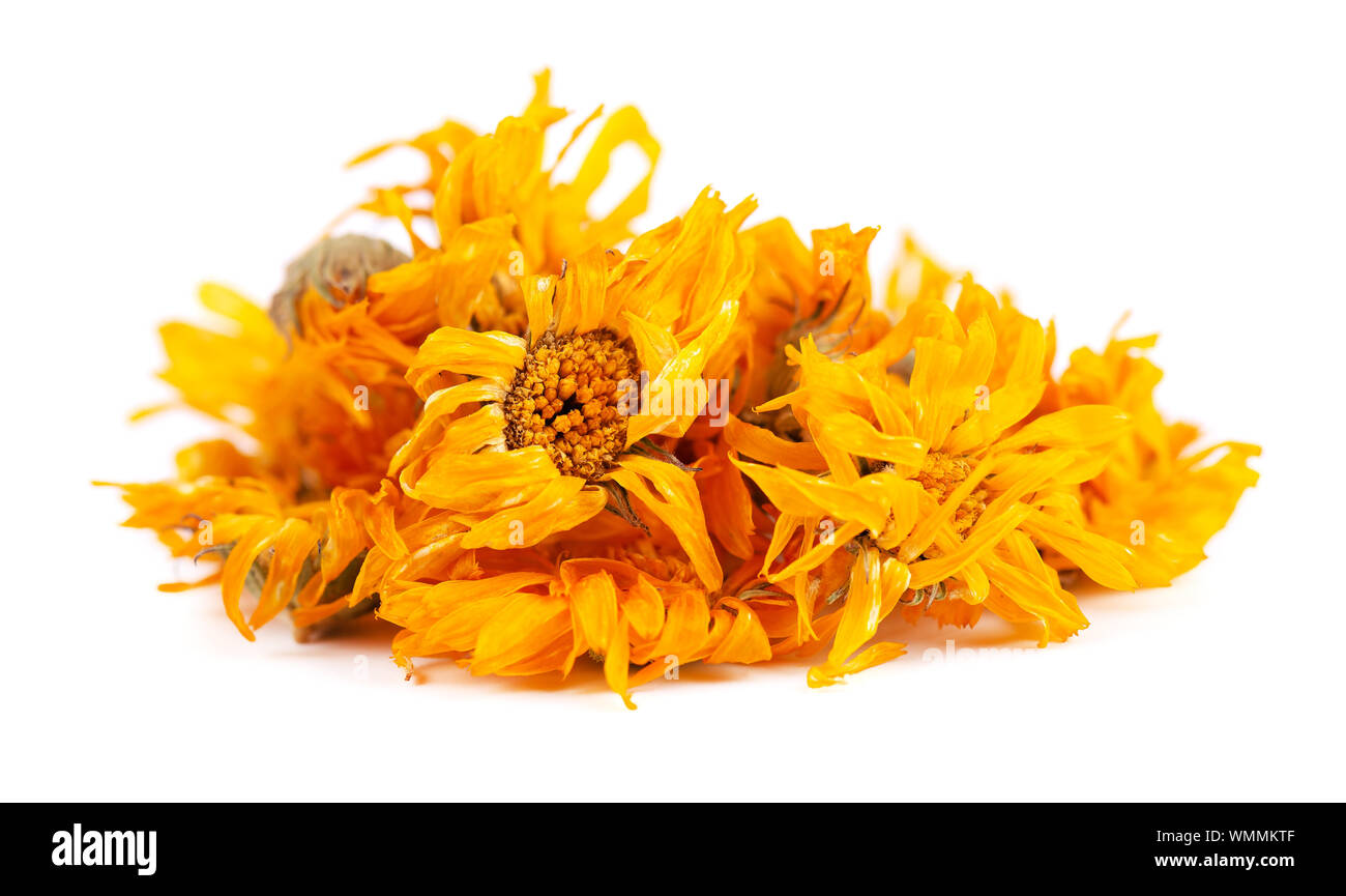 Dried calendula flowers isolated on white background. Medicinal herbs