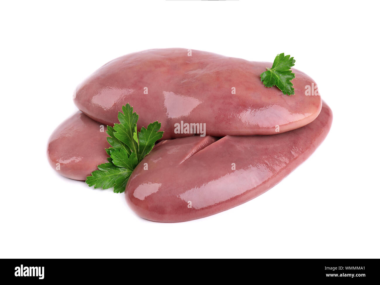 Pork kidney raw isolated on white background. Closeup. Pig kidney
