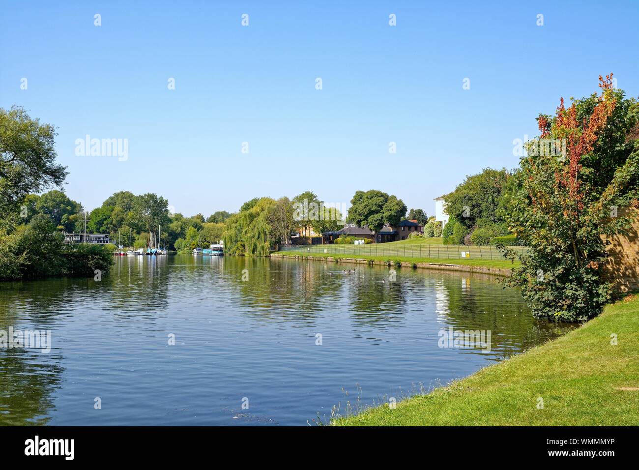 The riverside and River Thames at Shepperton on a sunny summers day