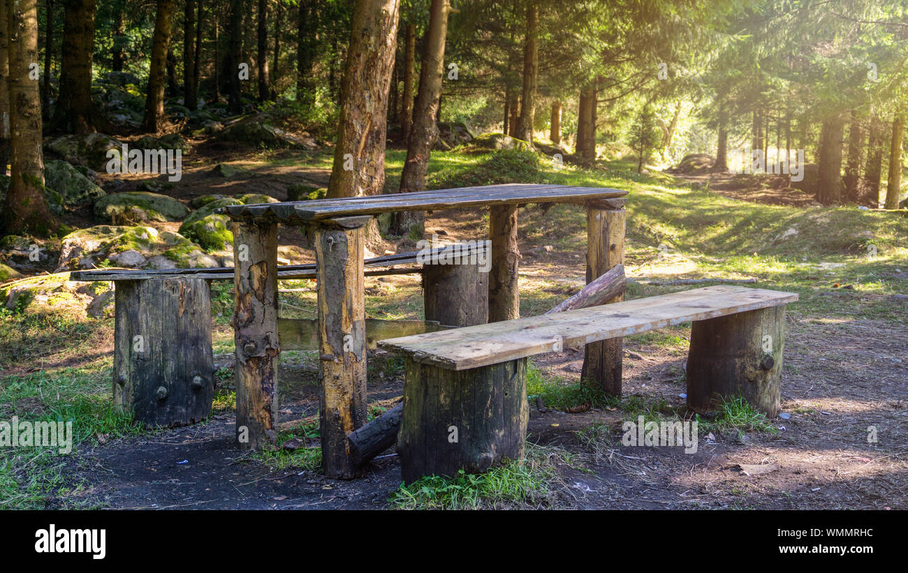 Summer forest sunshine picnic wooden table and bench relaxation Stock ...