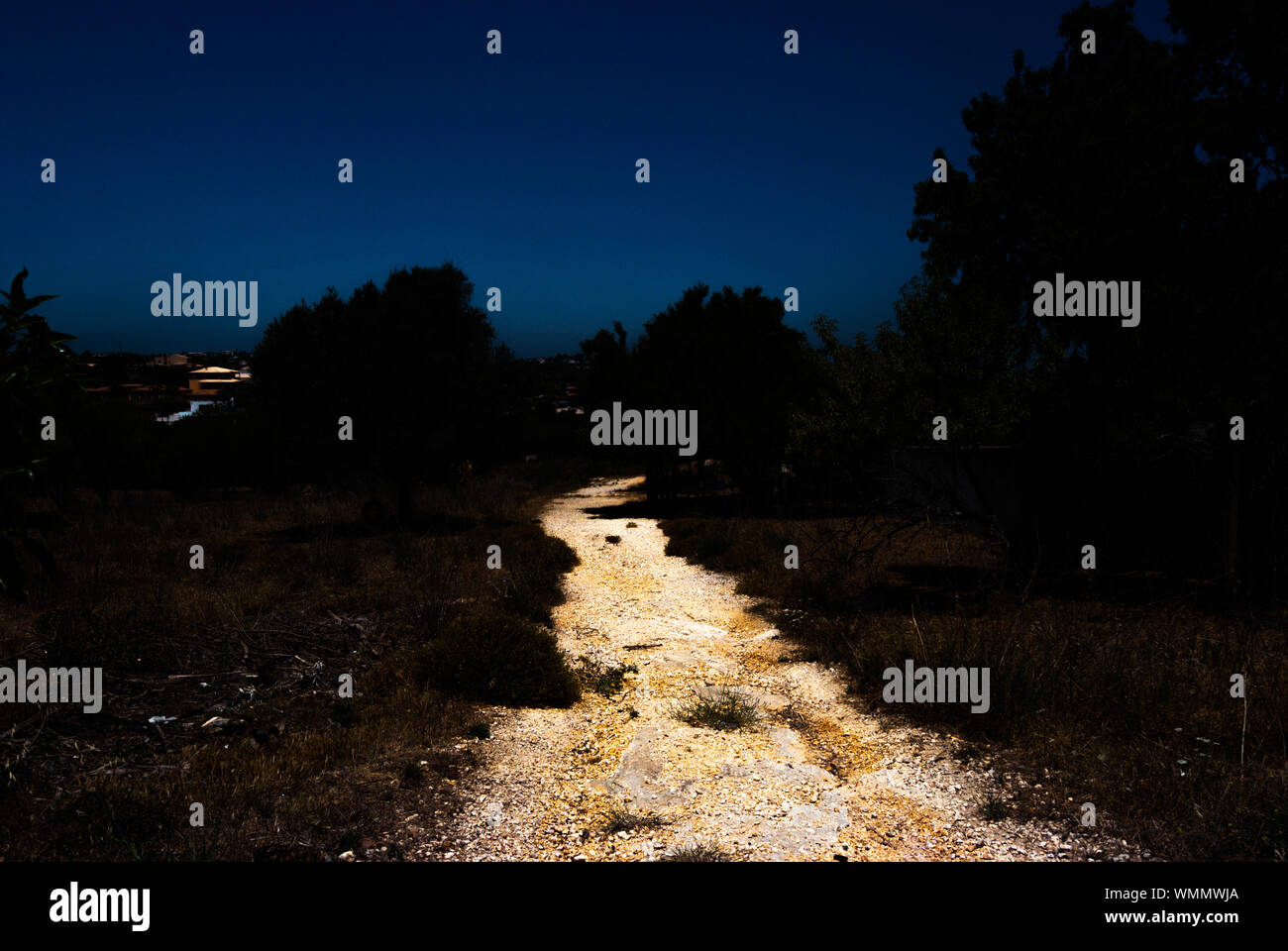 Night sky with trees hi-res stock photography and images - Alamy