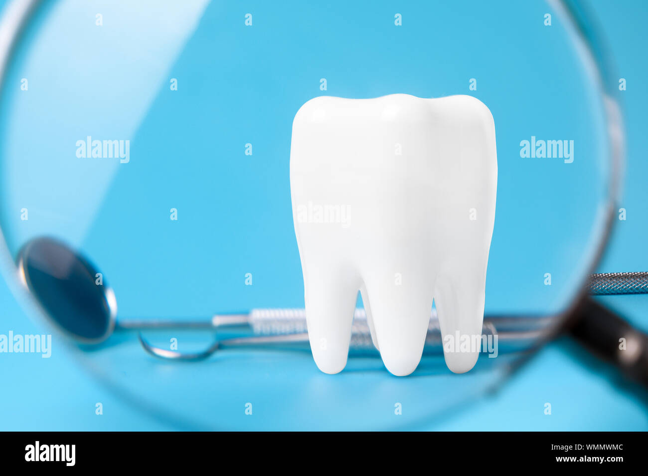 Dental model and dental equipment on Grey background, concept image of