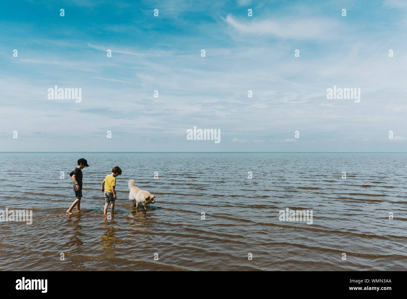 Two brothers and dog paddling in ocean against a cloudy sky Stock Photo