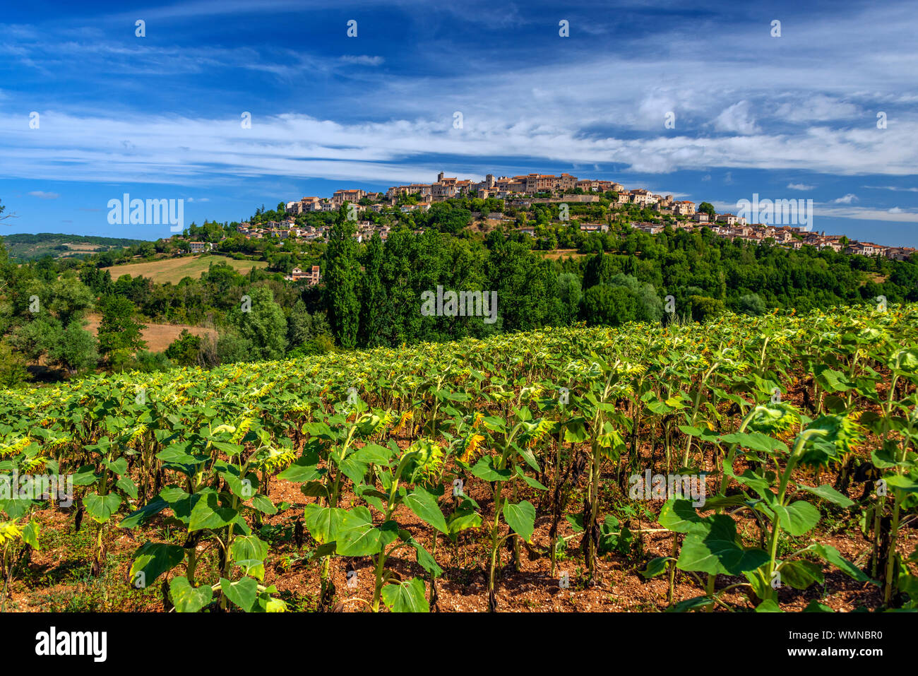 The medieval hilltop village of Cordes-sur-Ciel in the Tarn department of Occitanie, France. Stock Photo