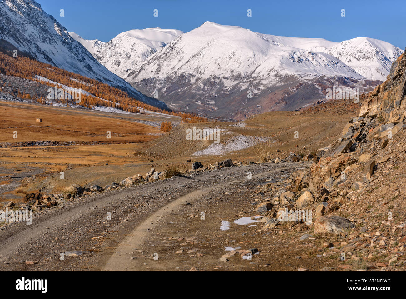 Picturesque Autumn Landscape With A Dirt Rocky Road Golden Larch Trees And Snowy Mountains Against A Blue Sky With Clouds Atay Russia Stock Photo Alamy Picturesque Autumn Landscape With A Dirt Rocky Road Golden Larch Trees And Snowy Mountains Against A Blue Sky With Clouds Atay Russia Stock Photo Alamy