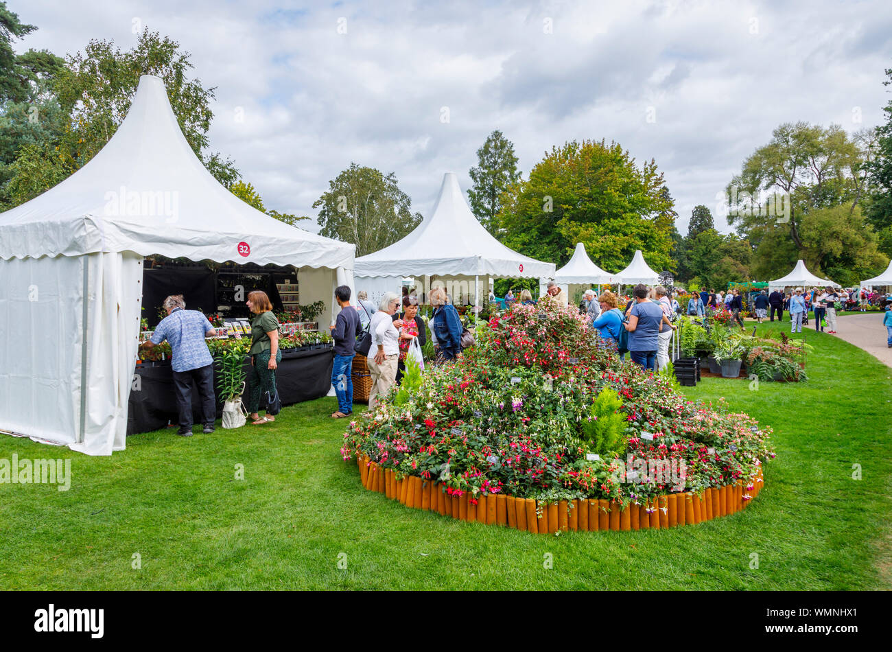 Stall and display of fuschia flowers at the September 2019 Wisley