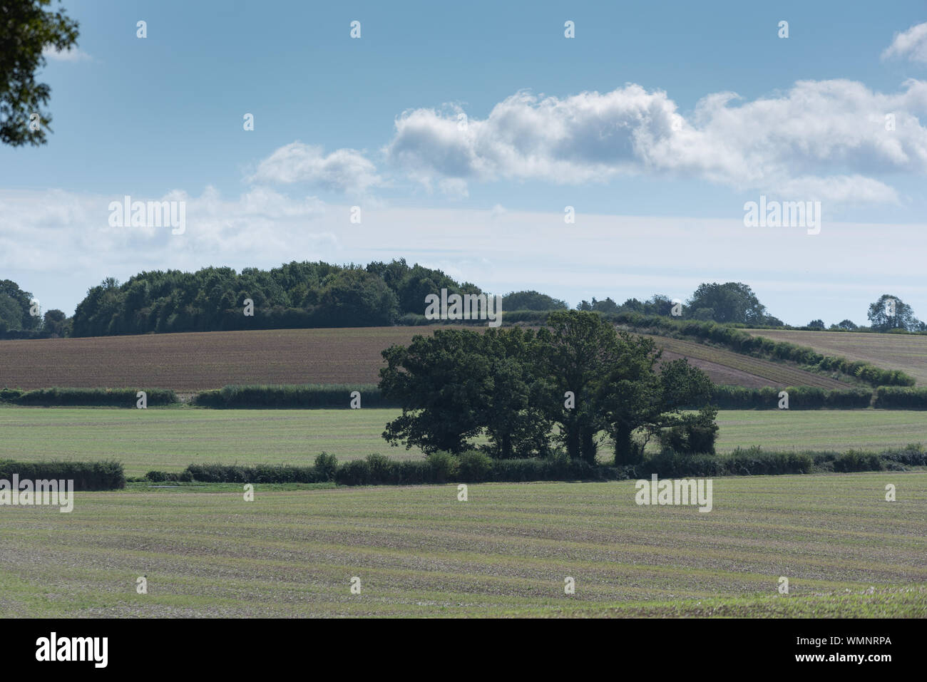 fields in countryside side beauty on a summers day with rolling hills downs Stock Photo